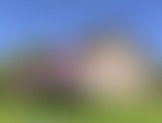 C'est le printemps au manoir de la tour, la floraison du cerisier japonais resplendit de sa beauté !