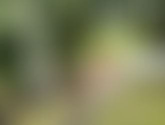 Le manoir a un nouveau visiteur inattendu...