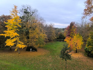 En Novembre, le Manoir se pare de son manteau automnal