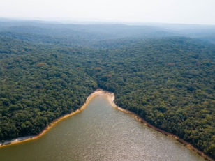 Cotia: Fundação Florestal e Prefeitura se reúnem para definir diretrizes para o novo Parque Estadual do Morro Grande