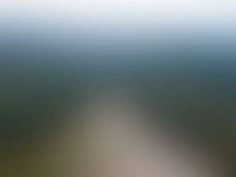 Cotia: Fundação Florestal e Prefeitura se reúnem para definir diretrizes para o novo Parque Estadual do Morro Grande