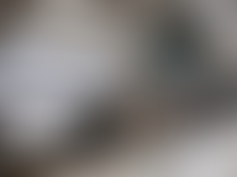 Linha 22-Marrom: Estudos revelam que ramal transportará 649 mil pessoas e terá trechos de lotação