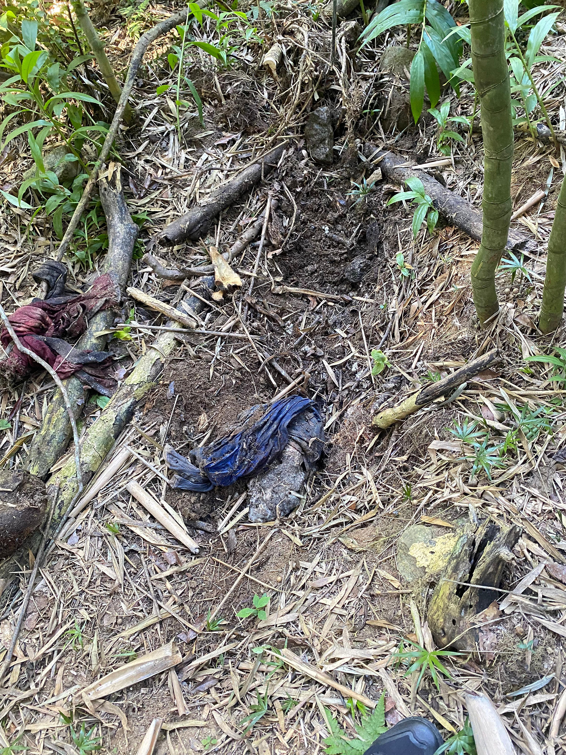 Romu encontra covas e ossada humana em trilha de mata em Cotia