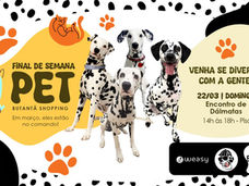 Encontro de Dálmatas movimenta o Butantã Shopping neste domingo, 22