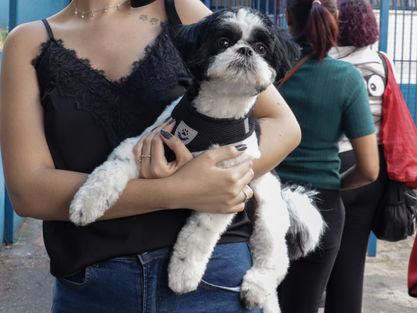 Carapicuíba abre inscrições para mutirão de castração gratuita de cães e gatos nesta quinta-feira (16)