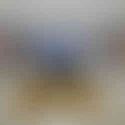 Convenção do PSD em Itapevi oficializa filiação de Igor Soares e elege nova executiva