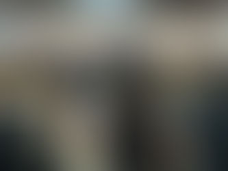 Servidores lotam Câmara de Cotia em protesto contra Reforma da Previdência