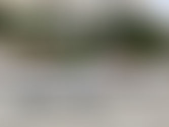 Segurança Pública: frentes parlamentares miram valorização de carreiras e combate à criminalidade