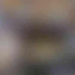 Shopping Taboão recebe o Torresmo Fest com entrada gratuita e shows ao vivo