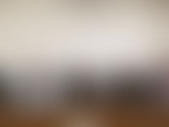 Gaeco e Polícia Ambiental dão detalhes sobre a Operação Nerthus em Cotia