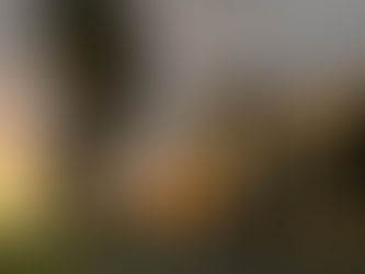 Primeira healthtech brasileira especializada em tratamento psiquiátrico é inaugurada na Granja Viana