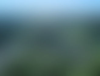 Cotia: Eleição do Conselho do Meio Ambiente para o biênio 2026-2027 acontece no dia 14