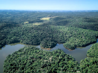 Cotia: Eleição do Conselho do Meio Ambiente para o biênio 2026-2027 acontece no dia 14