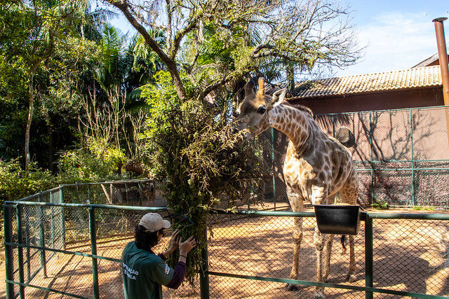Bastidores do Zoo SP: Duas toneladas de comida e dietas para 300 espécies