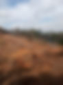 Itapecerica da Serra: Polícia Ambiental flagra crime ambiental no bairro do Crispim