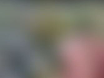 Frente fria derruba temperaturas em São Paulo e acende alerta para baixa umidade entre 1º e 3 de julho