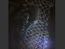 Homem é preso em flagrante por furto de cabos em túnel do Rodoanel