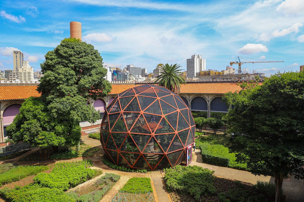 Museu Catavento: Laboratório de criação das borboletas será aberto a visitas pela primeira vez