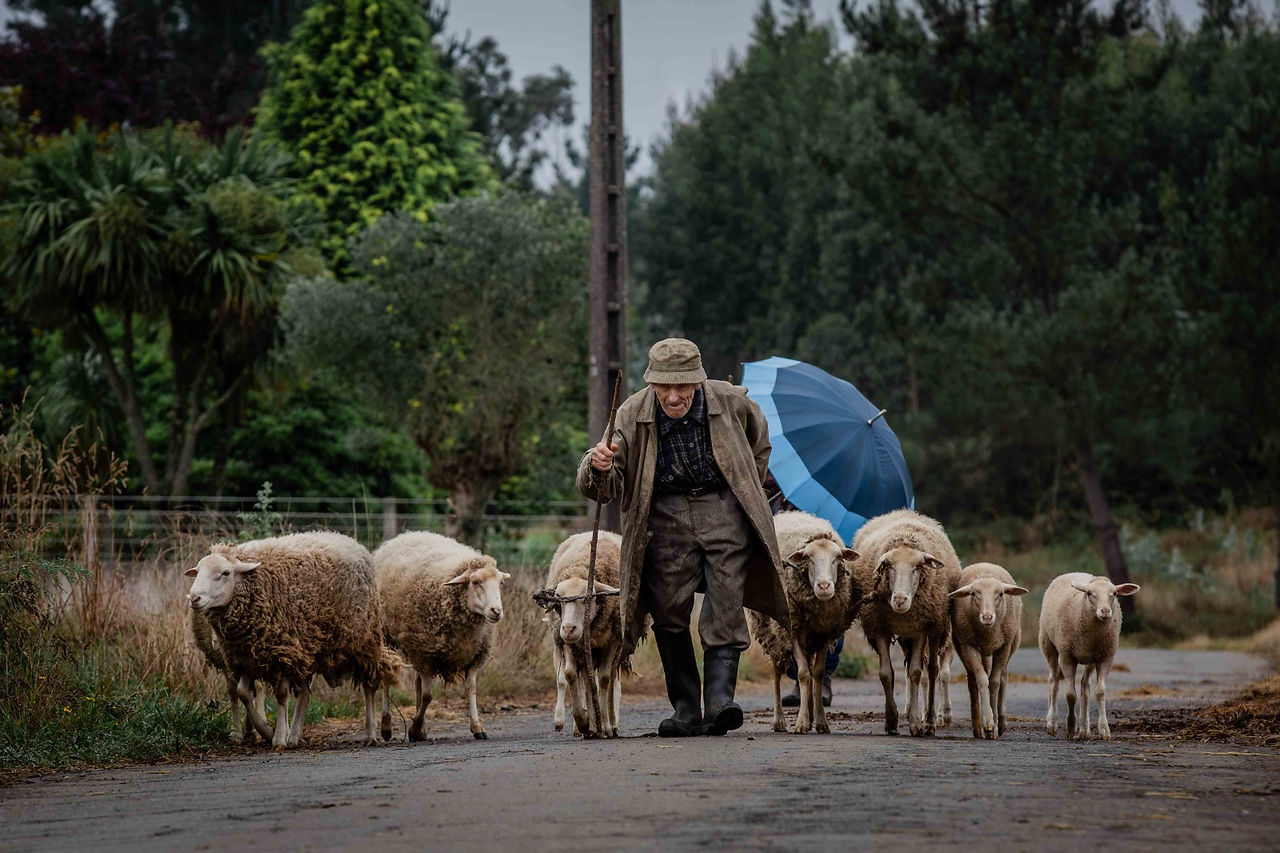 Granja Viana recebe lançamento de livro e documentário sobre o Caminho de Santiago