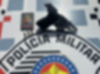 Após denúncia de violência doméstica e drogas, PM apreende arma de fogo na Favela do Dema, em Carapicuíba