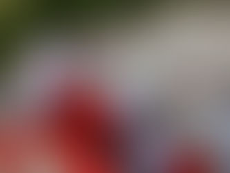 Natal de Cristal: Papai Noel chega de helicóptero no Raposo Shopping