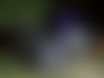 Policiais do 5ºBaep desmantelam quadrilha de roubo de carga