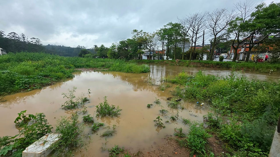 Cotia lidera volume de chuvas no estado e equipes de emergência reforçam atendimento nos bairros