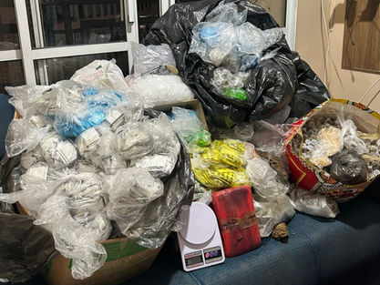 Carapicuíba: Cão farejador Thor descobre mais de 50 kg de drogas em apartamento