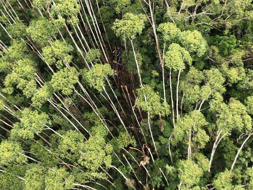 PM localiza helicóptero que desapareceu a caminho do litoral norte de SP