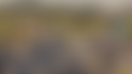 Atenção motorista: Raposo Tavares e Castello Branco terão obras noturnas de manutenção a partir desta segunda (27)