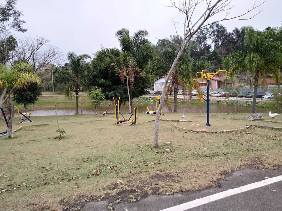 Festival da Primavera EcoFeira Granja Viana acontece neste domingo (12) no Parque Teresa Maia