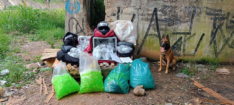 Foram localizadas e apreendidas mais de 30kg de drogas
