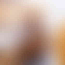 Itapevi lança ItaPetMóvel para fortalecer a proteção animal