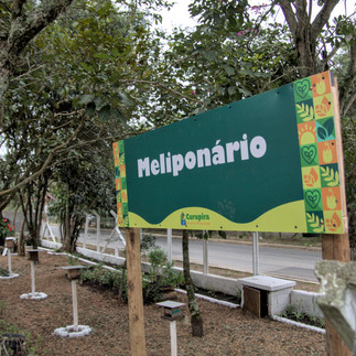 Sustentabilidade: Cotia ganha Polo de Educação Ambiental e Jardim Sensorial no Viveiro Municipal Curupira