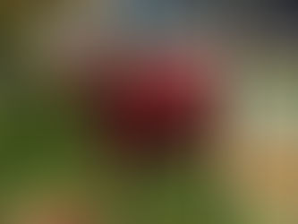 Durante perseguição, bandidos capotam carro e são presos em flagrante pela PM