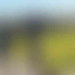 GCMs de Cotia realizam treinamento de elite com a SWAT nos Estados Unidos