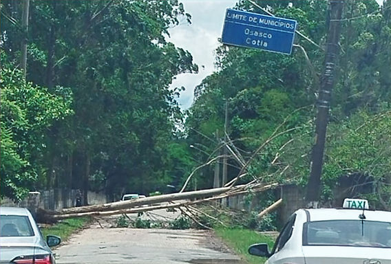 Ciclone causa apag&atilde;o na regi&atilde;o e exp&otilde;e fragilidade estrutural da rede el&eacute;trica