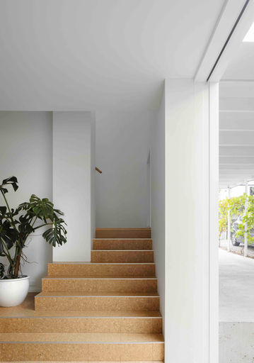 Lockerbie Residence, New Generation Cork, Copenhagen, stairs and plant with cork flooring Sydney