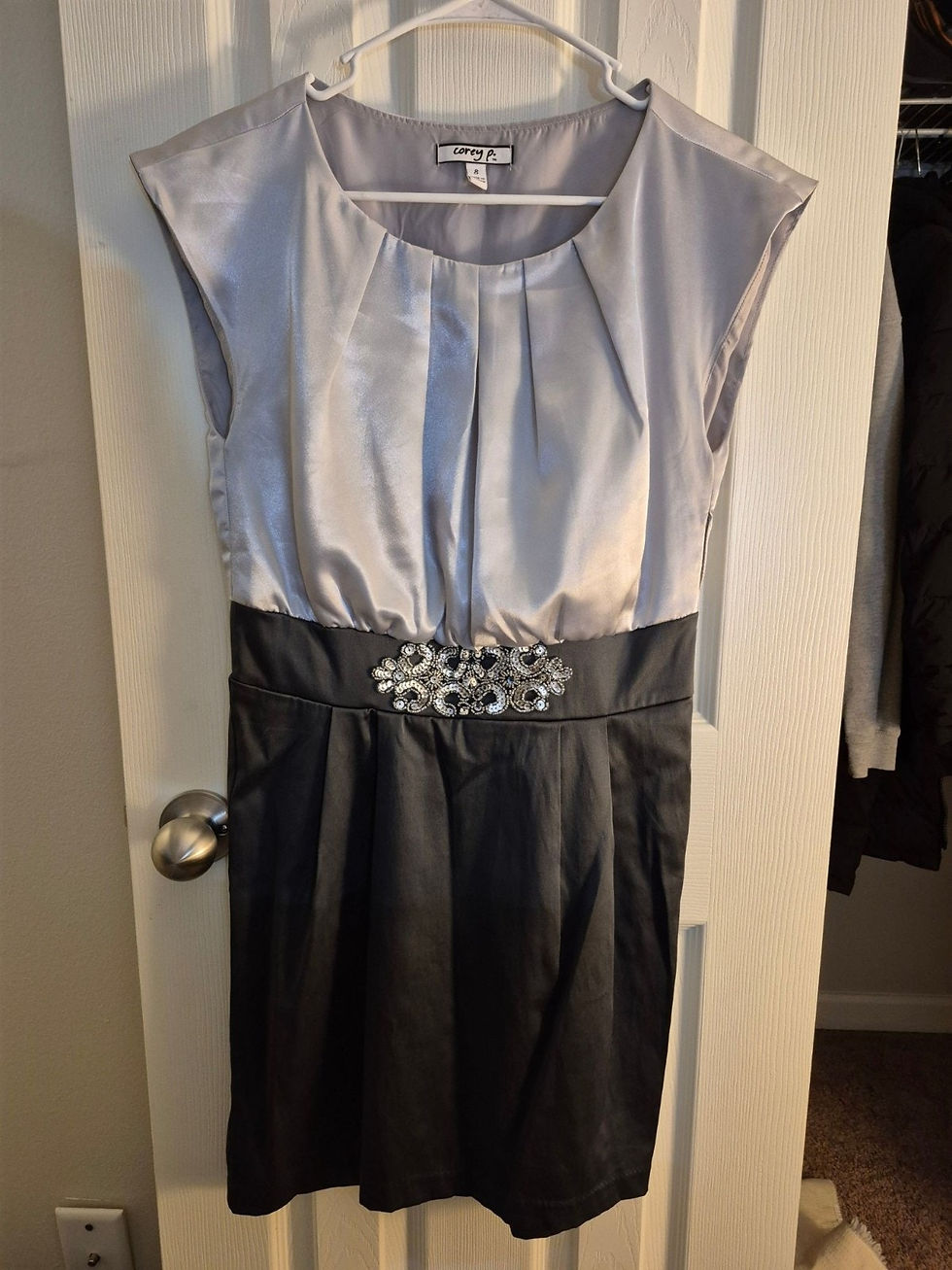 Silver and black dress with a decorative buckle