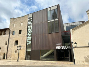 El Vinseum dispara els visitants en 13 anys: l'evolució en xifres