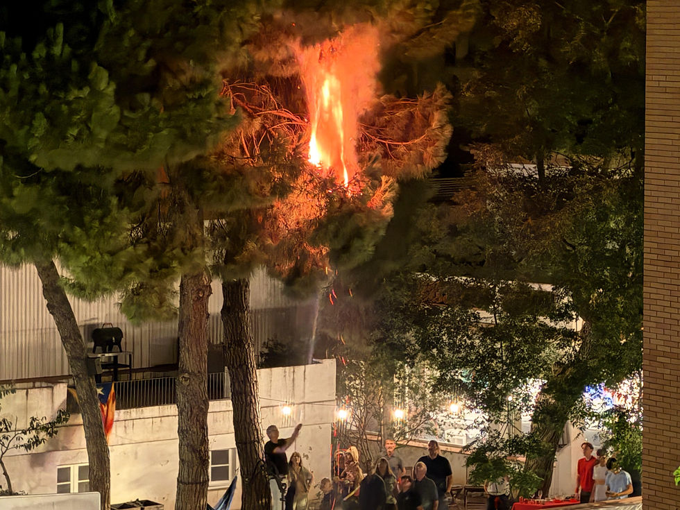 Una espurna encén el pi del jardí del cal Ferret durant la processó del 31. Foto: Maria Rosa Ferré.