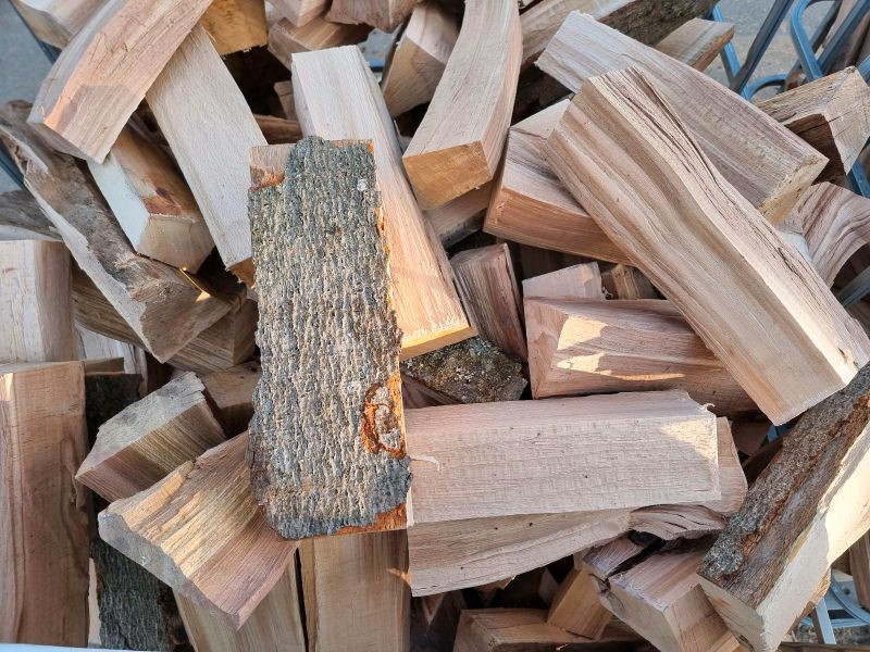 Brennholz Buche frisch 1 SRM