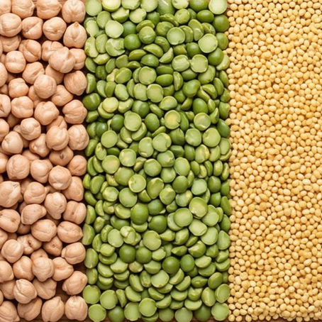 Specialty Crops Market Outlook – May 2026