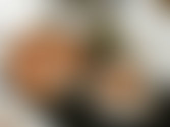 Tarta de jamón, queso y tomate con harina de garbanzos Grano Pampa