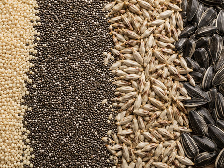 Specialty Crops Market Outlook – August 2026