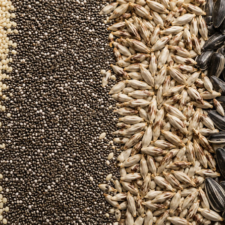 Specialty Crops Market Outlook – August 2026