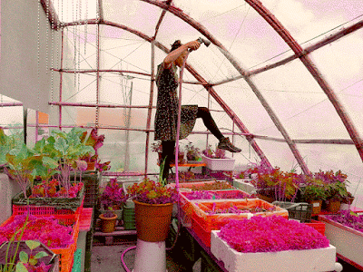 blog el-amor-del-sancocho