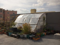 12494857_1752190531661159_544146047255609429_n (1)