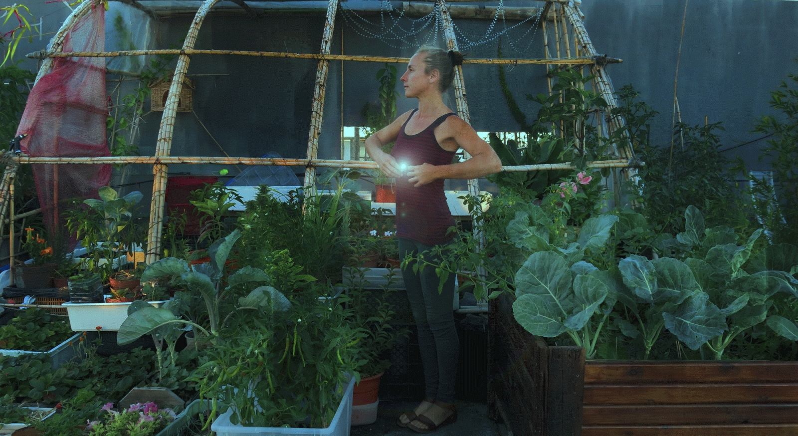 Gift Diana Marchetti