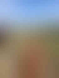 View with a horse looking toward mountains